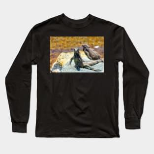 Iguanas Sunning on Rocks in St. Thomas Long Sleeve T-Shirt